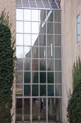 Metropolitan Museum of Art, Ivy Wall & Window Reflections