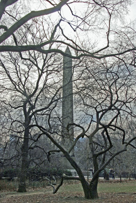 Cleopatra's Needle Obelisk