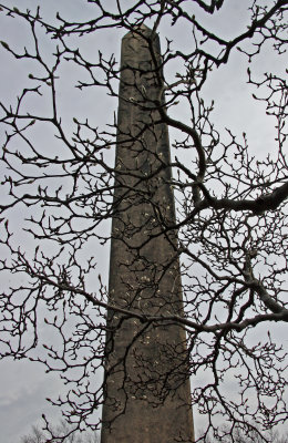 Cleopatras Needle Obelisk & Magnolia Tree Branches