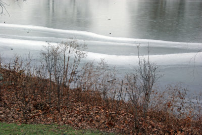 Turtle Pond Ice Shore