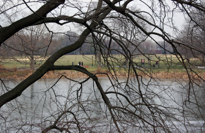 Turtle Pond & Great Lawn