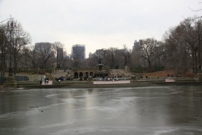 Frozen Lake & Bethesda Terrace