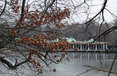 Winter - Central Park Lake