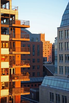 Cliff Dwellers at NYU Canyon