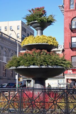 Father Demo Square - Fountain with Winter Plants