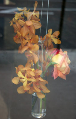Floral Shop Window
