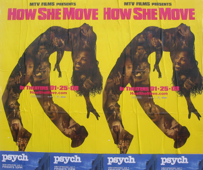 Movie Posters - How She Move