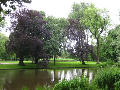 IMG_0505.JPG