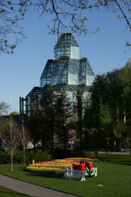 Ottawa Flowers