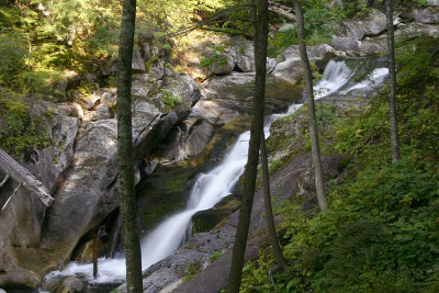 Nature & Landscape
