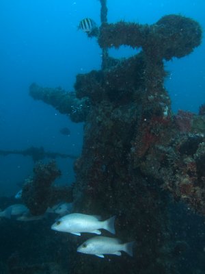 IMG_0657_s.jpg