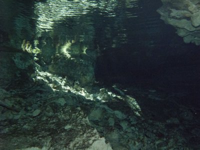 IMG_0706_s.jpg