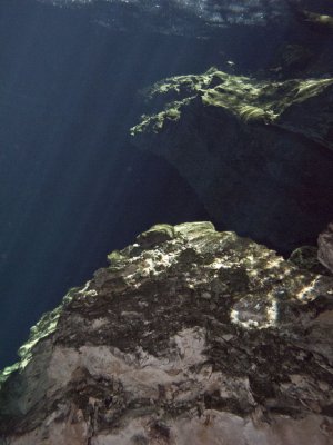 IMG_0726_s.jpg