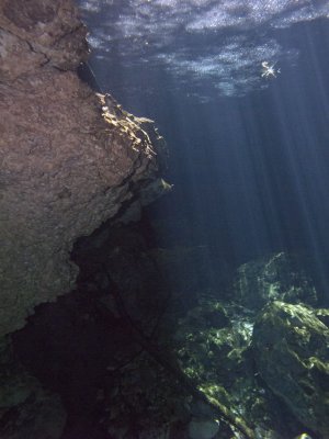 IMG_0730_s.jpg
