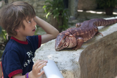 The creepiest lizard ever at the Crococun zoo.