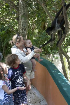 Crococun zoo.