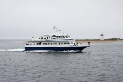 Whale watching 2012