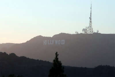 Hollywood hills.