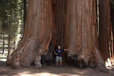 Sequoia National Park.