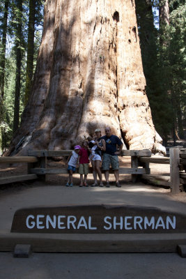 General Sherman - the largest tree (and largest living organism) on Earth, Sequoia National Park.
