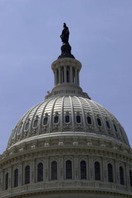 g4/26/446226/3/61205270.CRW_4358.jpg
