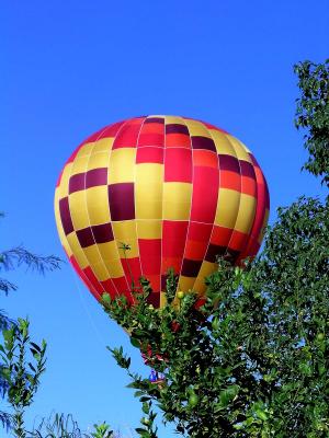 Arizona Balloon Festival 2005