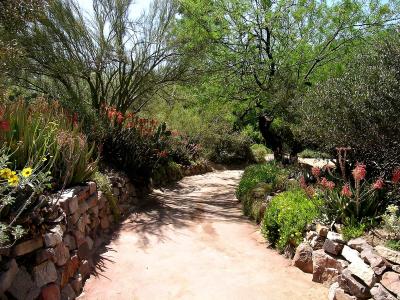 Path leading out of Visitors Center - Boyce Thompson Arboretum, Superior, Arizona