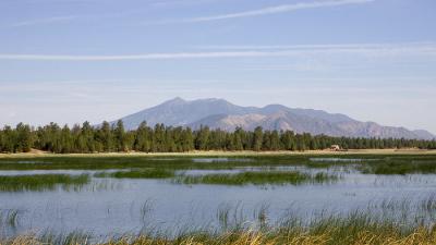 Marshall Lake