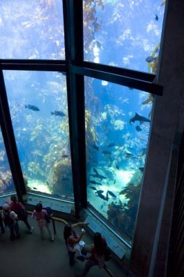 The big tank at Monterey