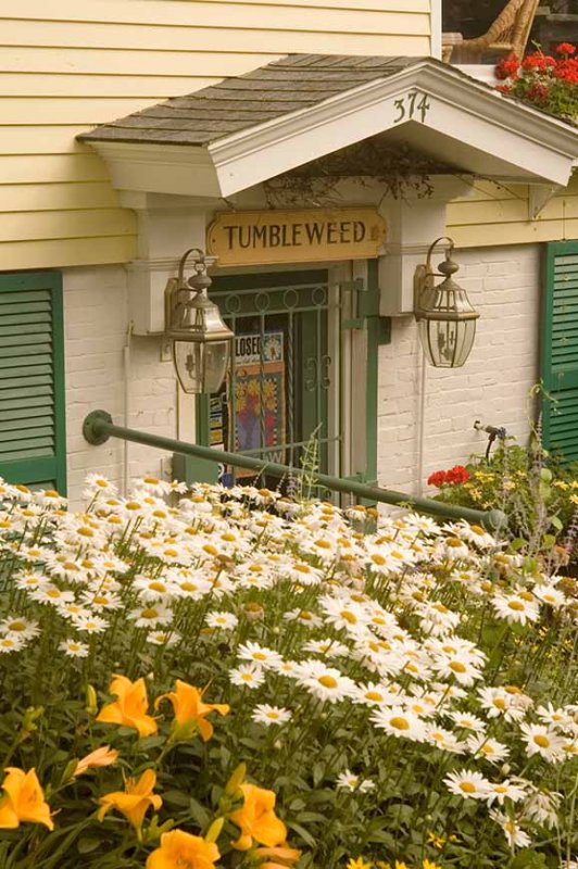 Provincetown Flowers-3-Edit-2.jpg