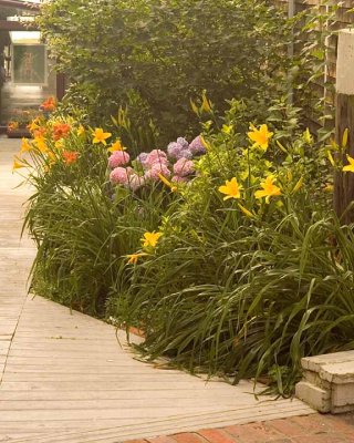 Provincetown Flowers-7-Edit.jpg