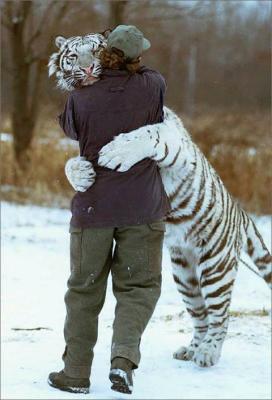 This is a HUG!