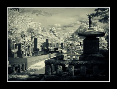 Aoyama Cemetery,Tokyo