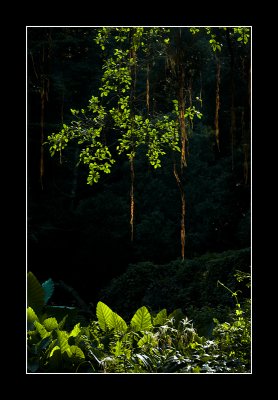 20100701-017 as Smart Object-1.jpg
