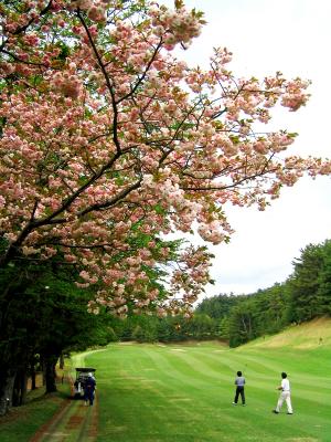 Sayama GC,Osaka