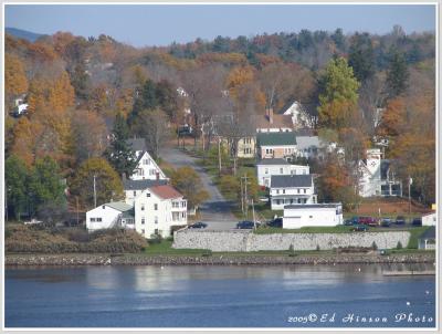 Maine Shots