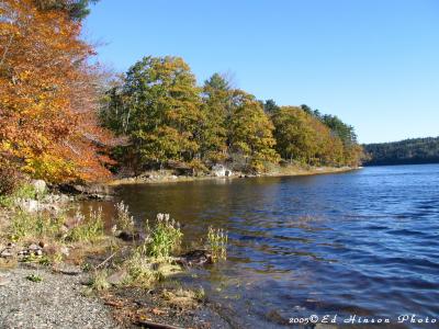 Verona Island Shoreline
