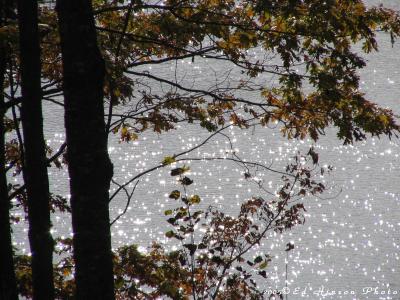 Sparkling