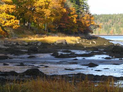 Low Tide