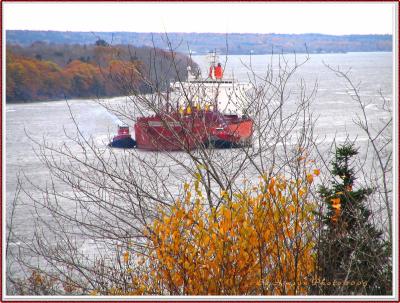 Maine Fall Colors