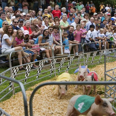 The Pig Race Crowd