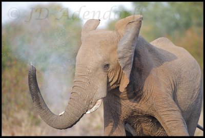 2011_KNP_194.jpg
