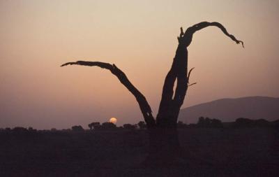 Namib sunset