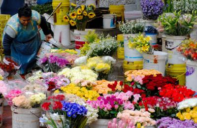 Flower sellers in Adderley Street