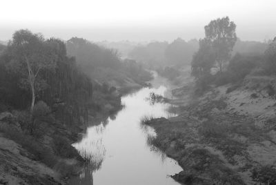 A river coagulates in mist and cold