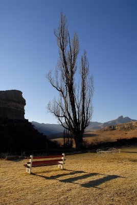 Bench on the edge