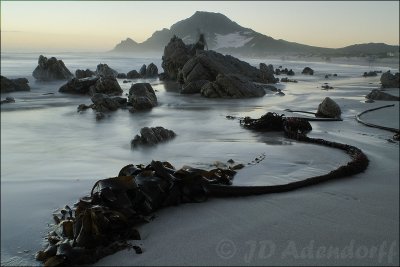 The beach at Bettys Bay