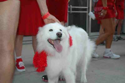 DSC_1217.jpg