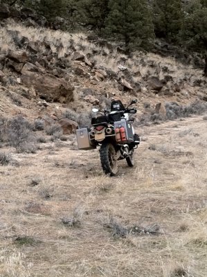 Gratuitous KTM shot.jpg