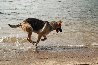 Chasing a wave.JPG